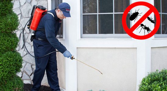 Babadağ Böcek İlaçlama böcek ilaçlama ve haşere kontrolü — ilaclama-tr.com